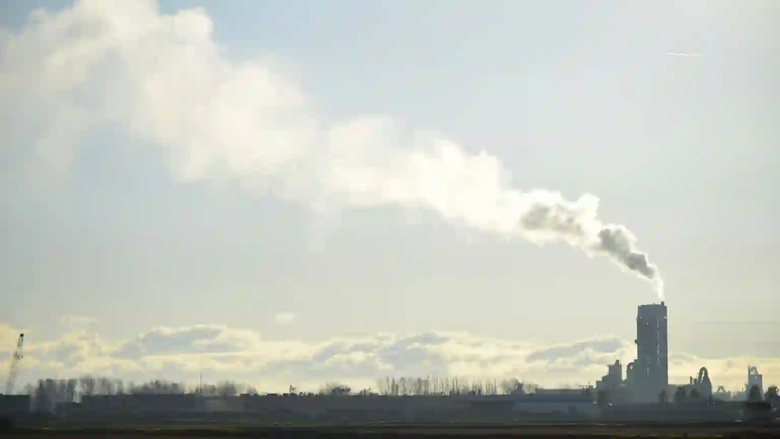 Delta car buying service