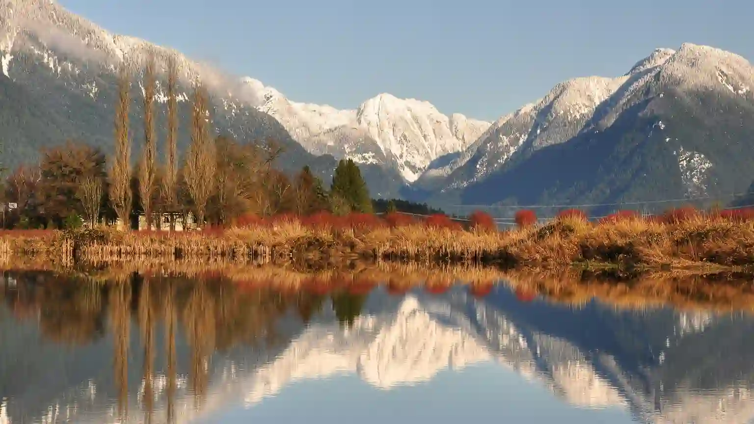 Pitt Meadows car buying service