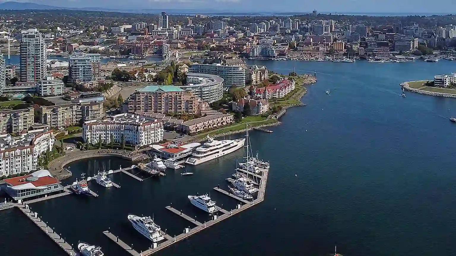 Victoria car buying service