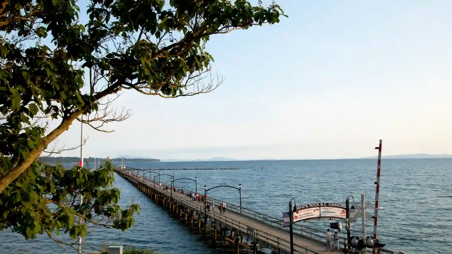 White Rock car buying service