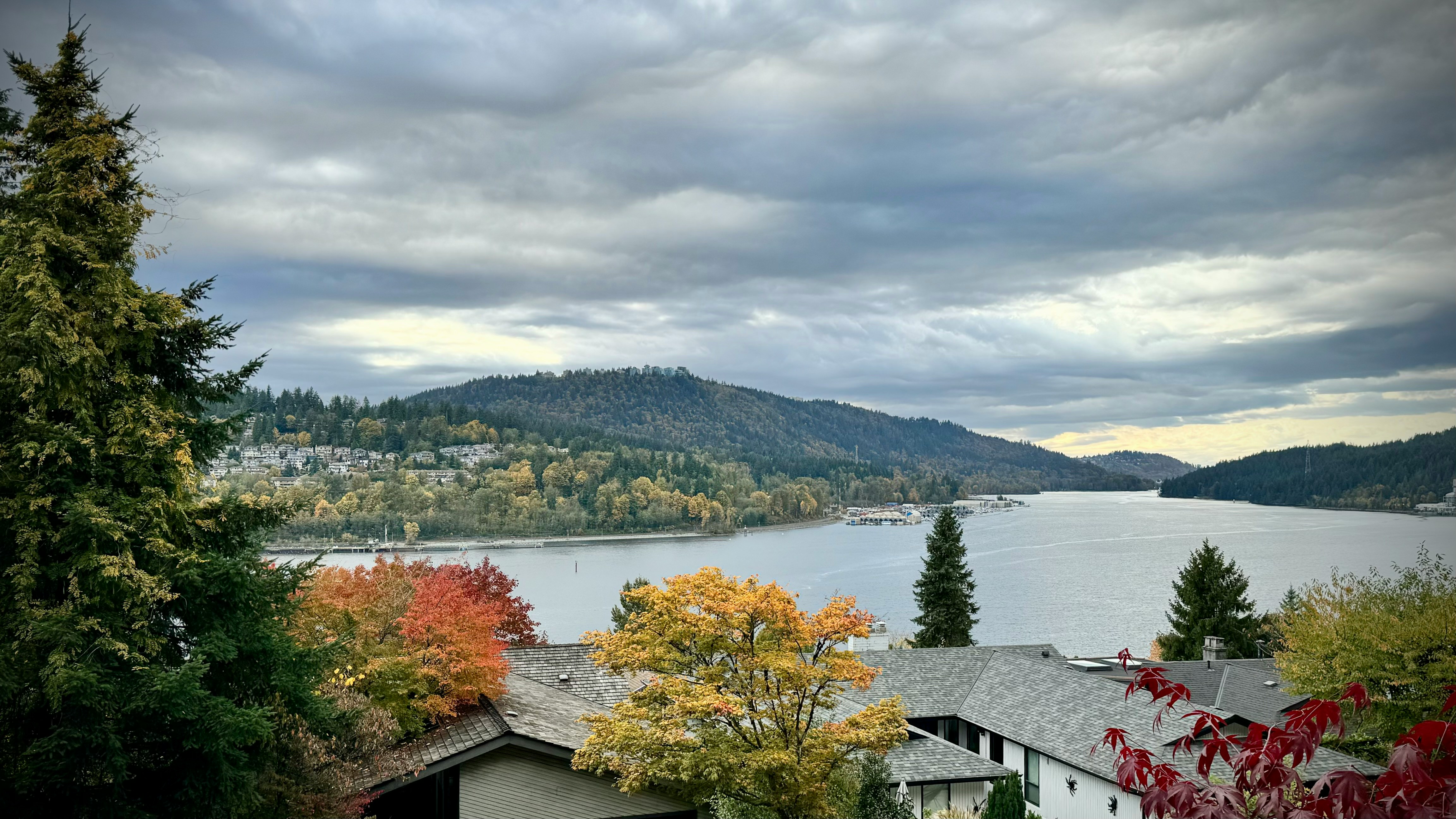 Port Moody car buying service