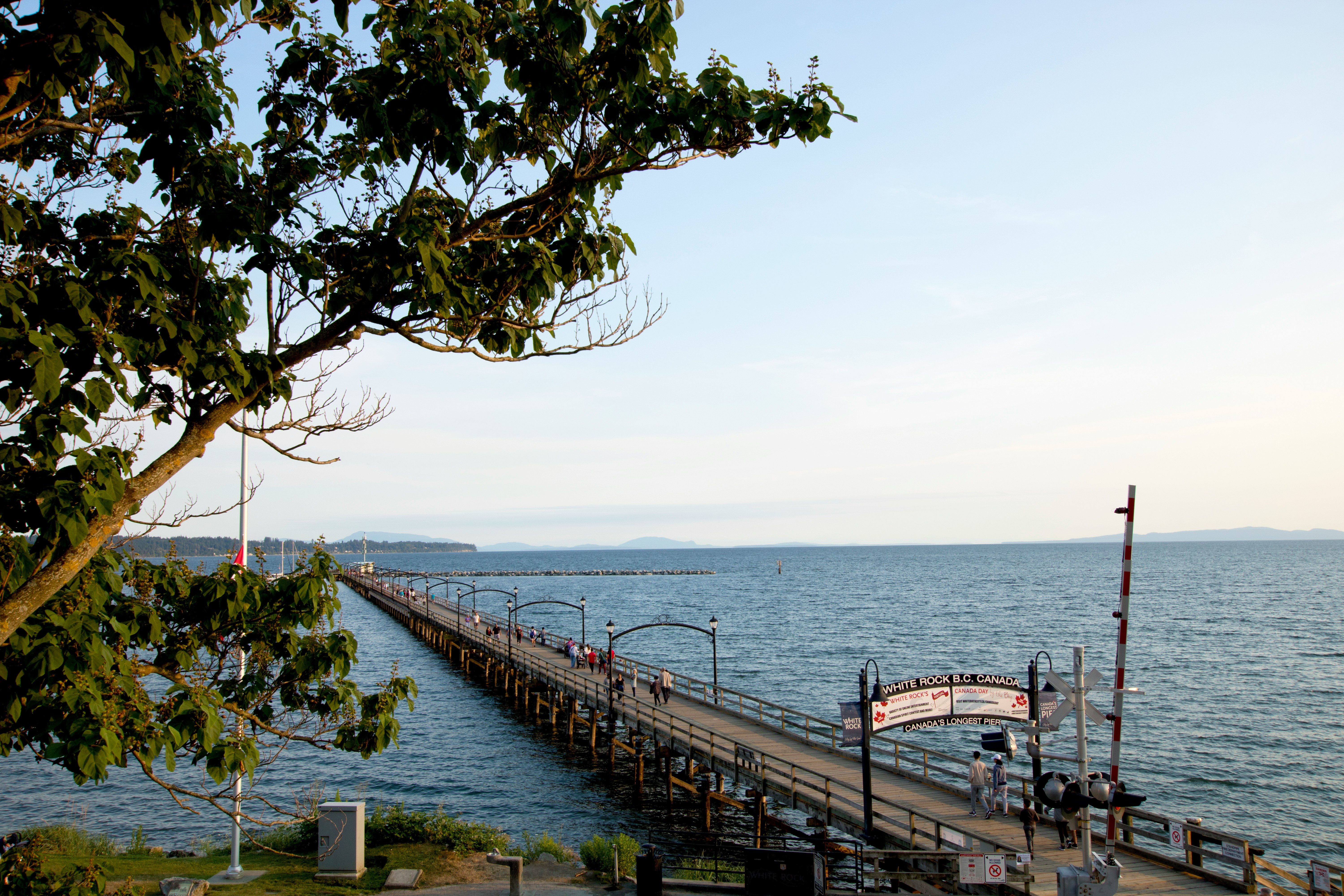 White Rock car buying service