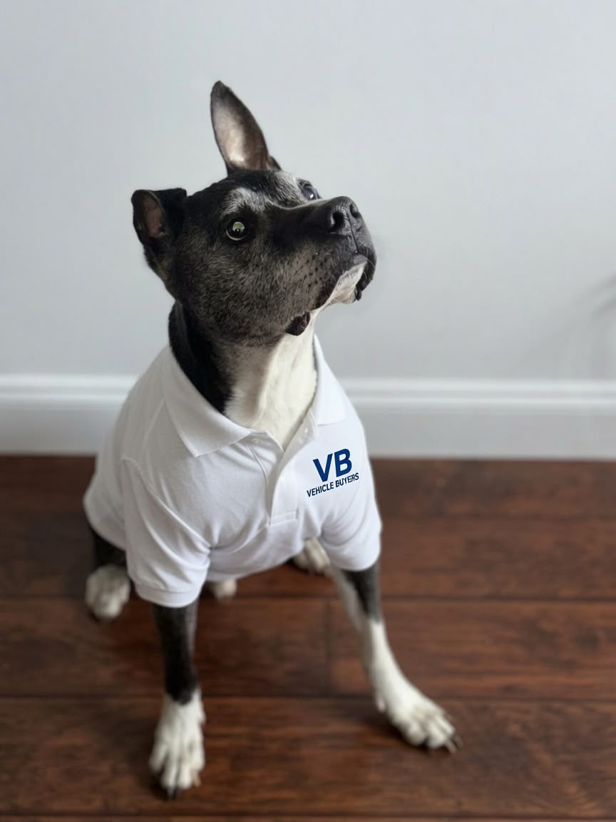 Boss the dog, Chief Morale Officer at Vehicle Buyers